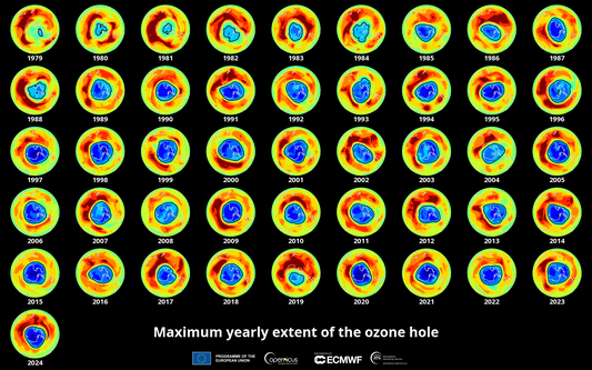 What Happened to the Ozone Layer?  3 Environmental Problems We Fixed