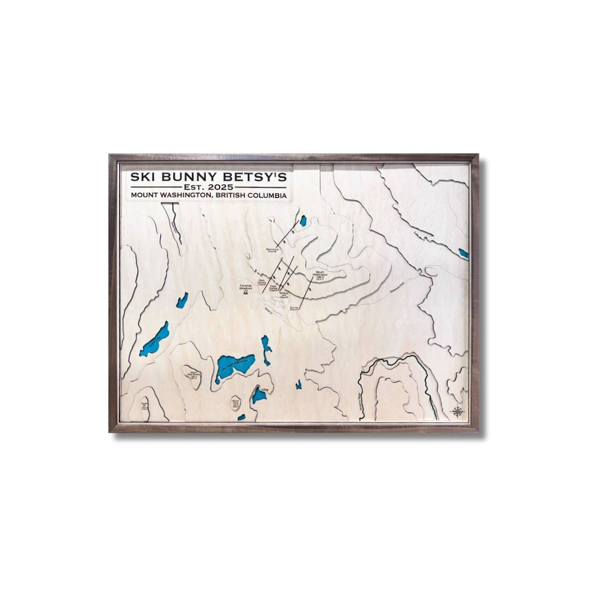 Multilayered topographic map of Mount Washington in British Columbia with ski resort.