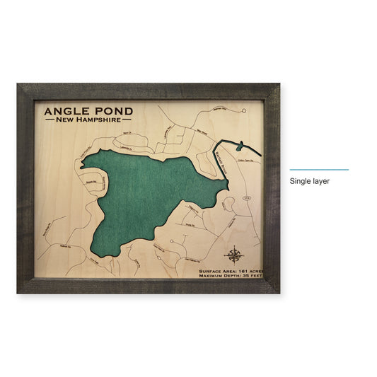 Angle Pond wood map — single layer, layer option shown