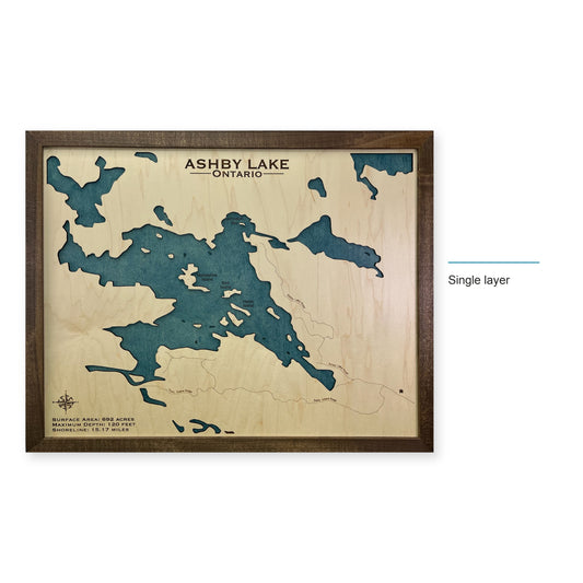 Ashby Backfill wood map — single layer, layer option shown