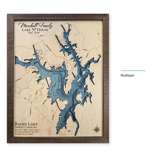 Badin Lake wood map — multilayer, layer option shown