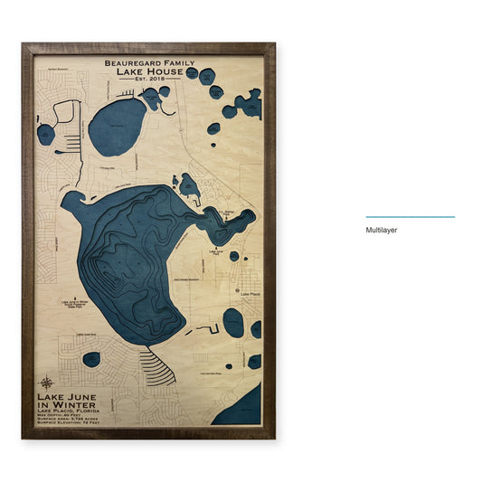 Lake June in Winter, Florida Wood Map — Multilayer — style-labeled photo