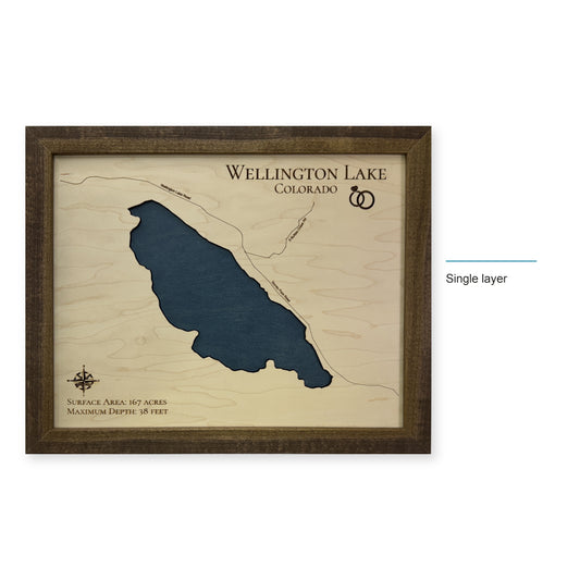 Wellington Lake wood map — single layer, layer option shown