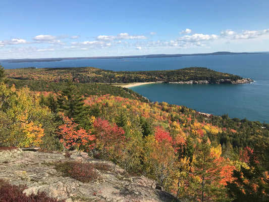 Best National Parks to Visit in Fall: Top 4 Picks for Autumn Colors
