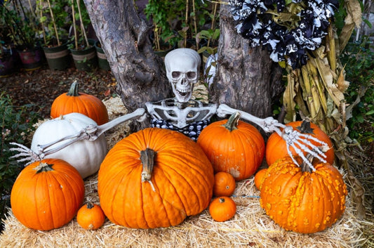 Best Halloween Towns to Visit in the U.S. (2025 Guide)