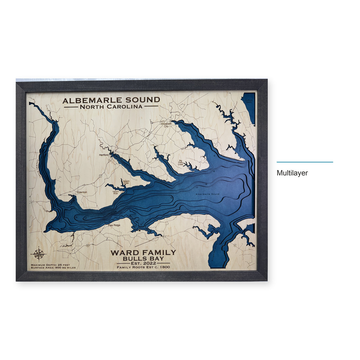 Albemarle Ward wood map — multilayer, layer option shown