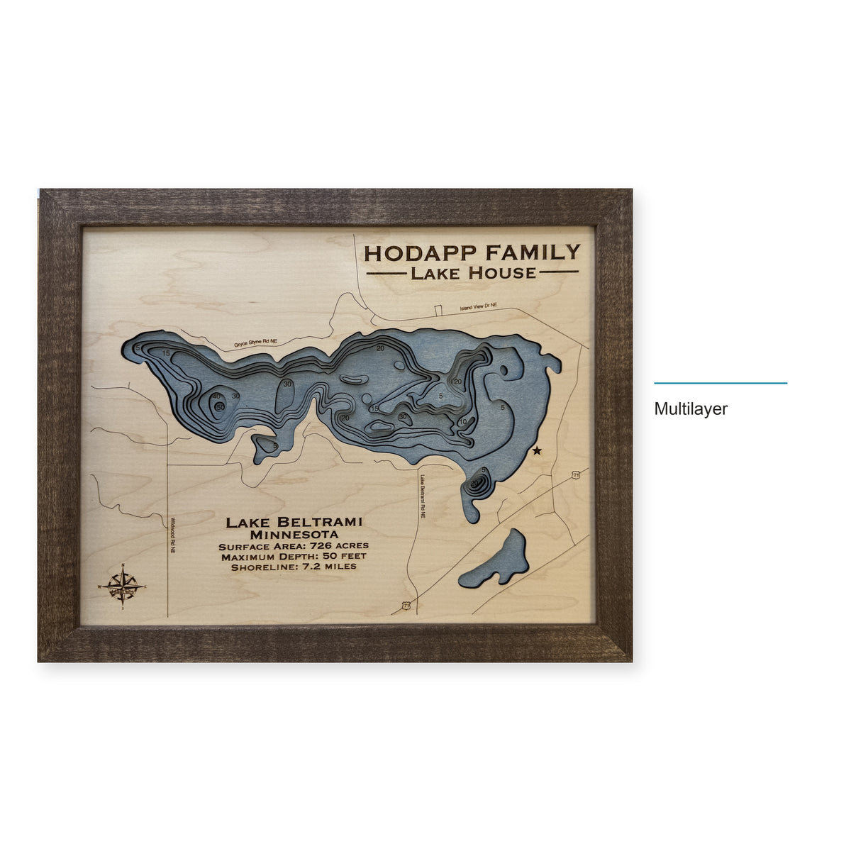 Beltrami Hodapp wood map — multilayer, layer option shown