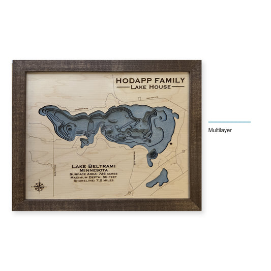 Beltrami Hodapp wood map — multilayer, layer option shown