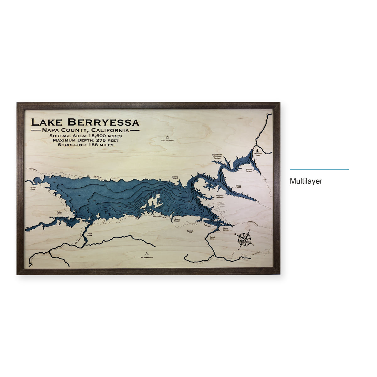 Berryessa Dettling wood map — multilayer, layer option shown