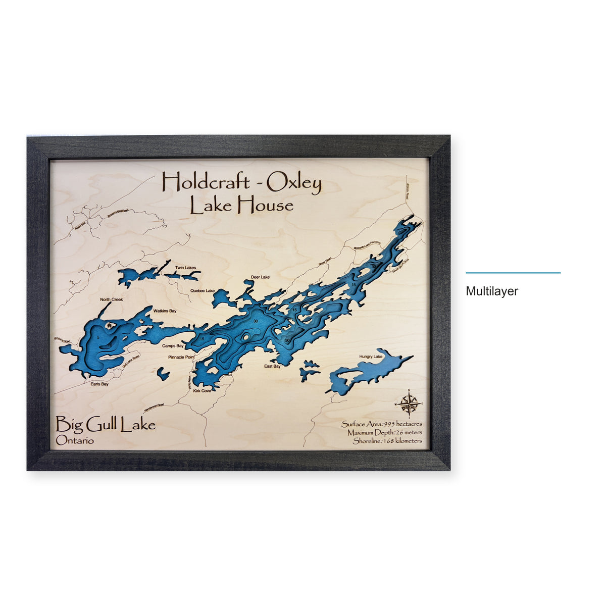 Big Gull Lake wood map — multilayer, layer option shown