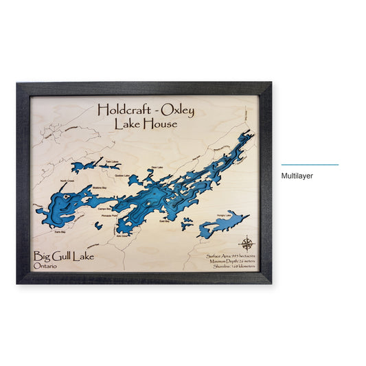 Big Gull Lake wood map — multilayer, layer option shown