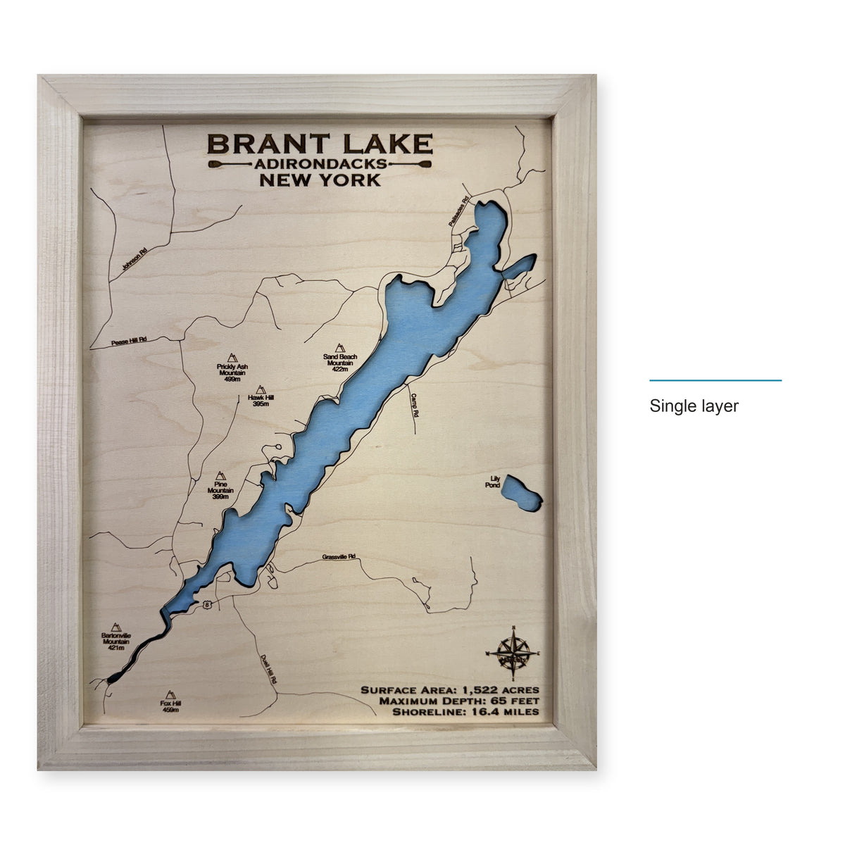 Brant Lake wood map — single layer, layer option shown