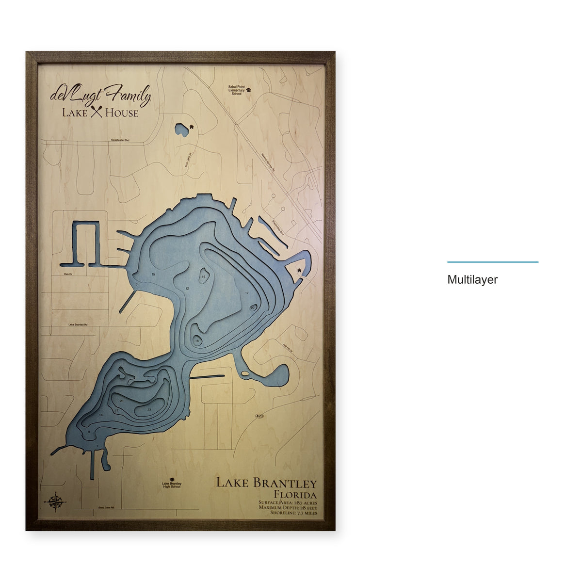 Brantley Devlugt wood map — multilayer, layer option shown