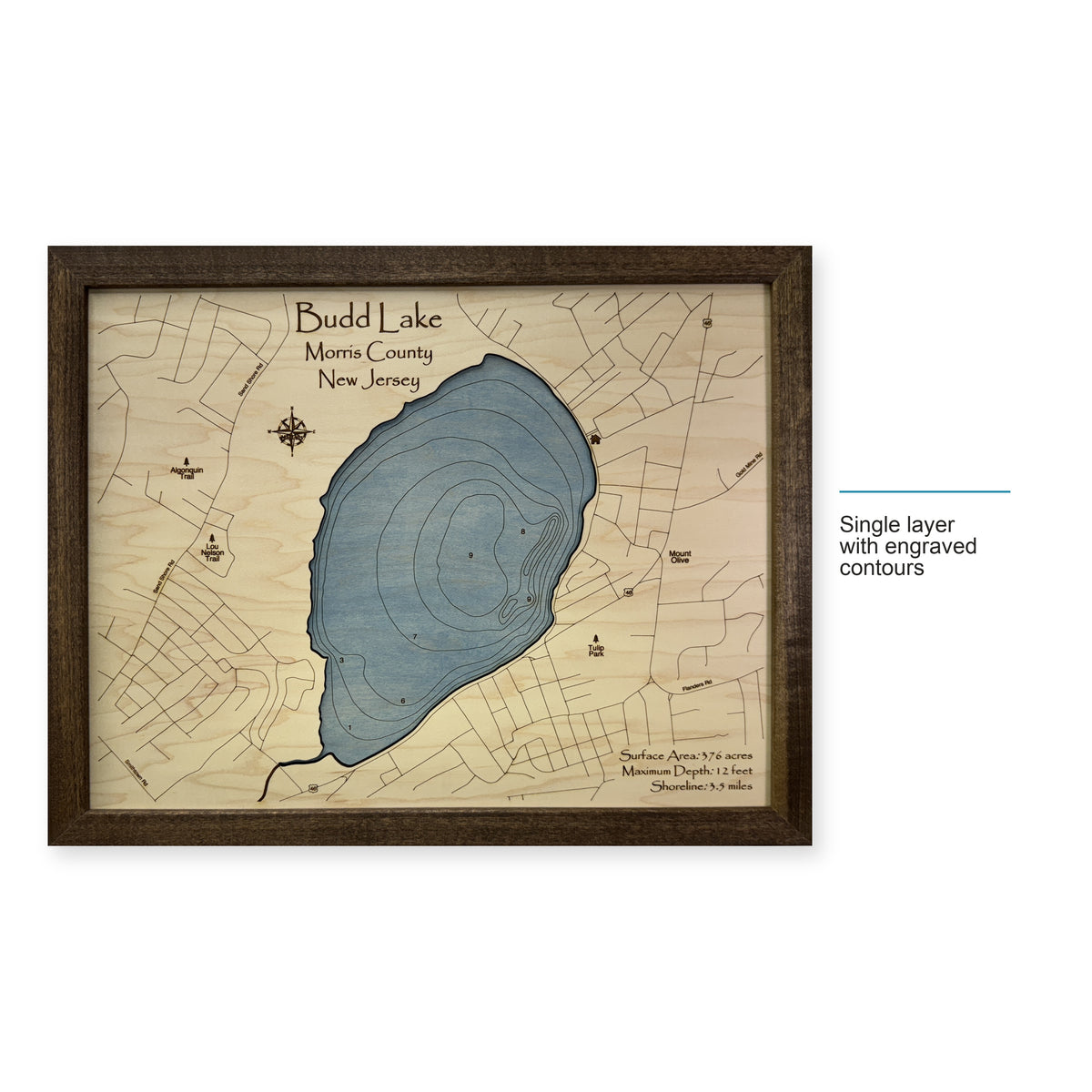 Budd Lake wood map — single layer with engraved contours, layer option shown