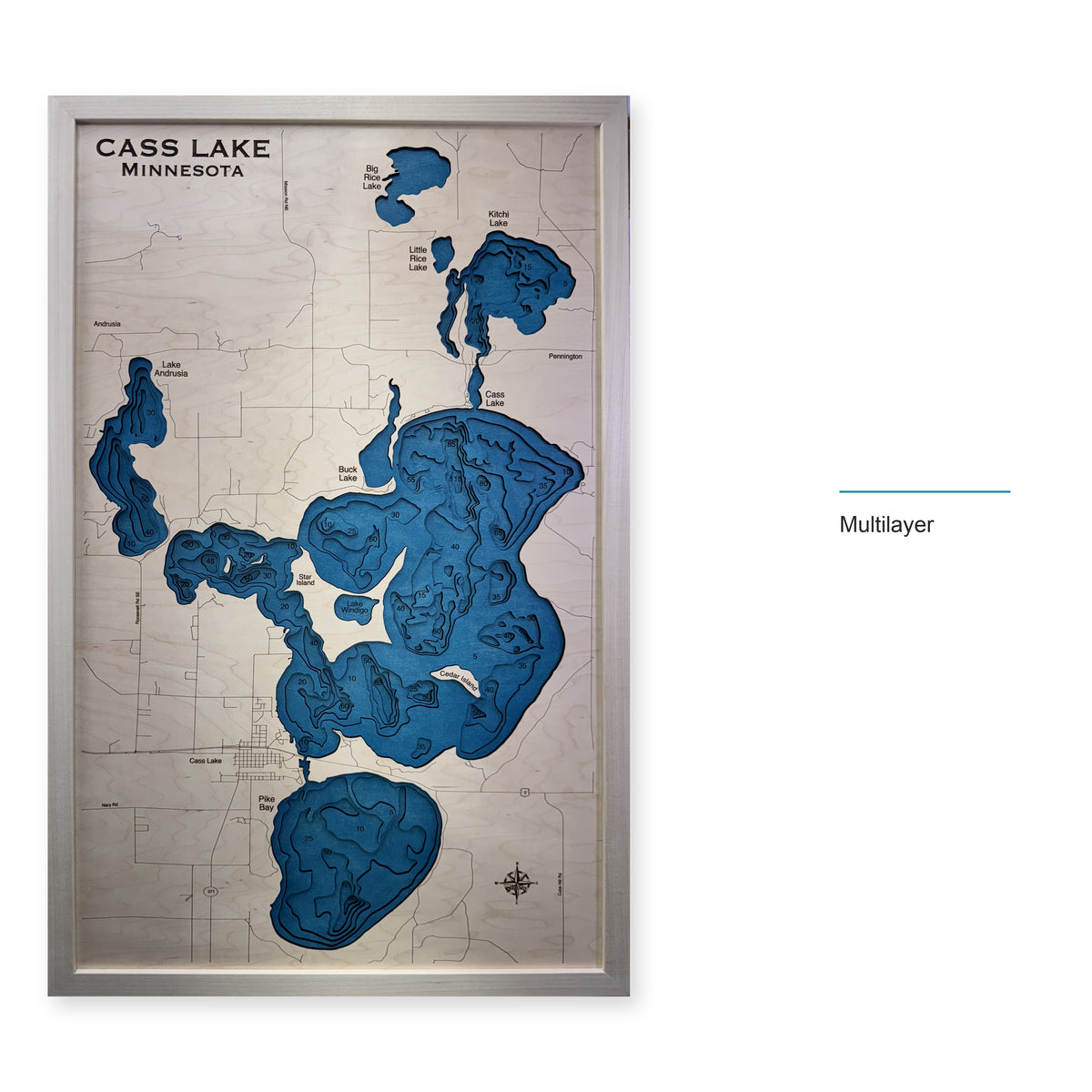 Cass Minnesota wood map — multilayer, layer option shown