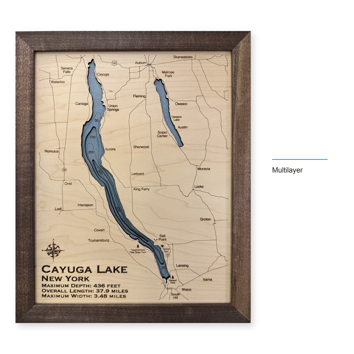Cayuga Selman wood map — multilayer, layer option shown