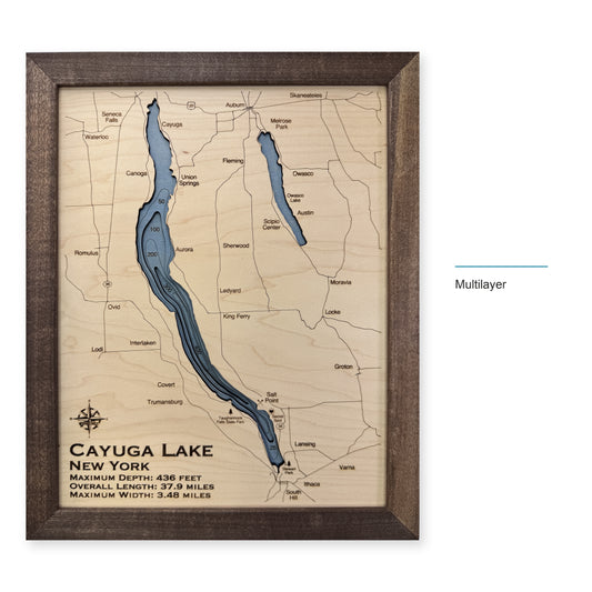 Cayuga Selman wood map — multilayer, layer option shown