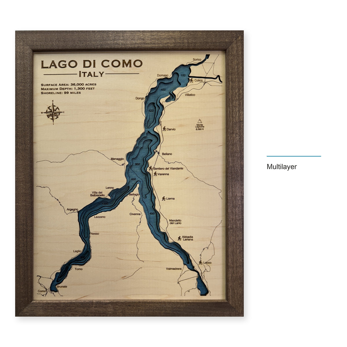 Como Zheng wood map — multilayer, layer option shown