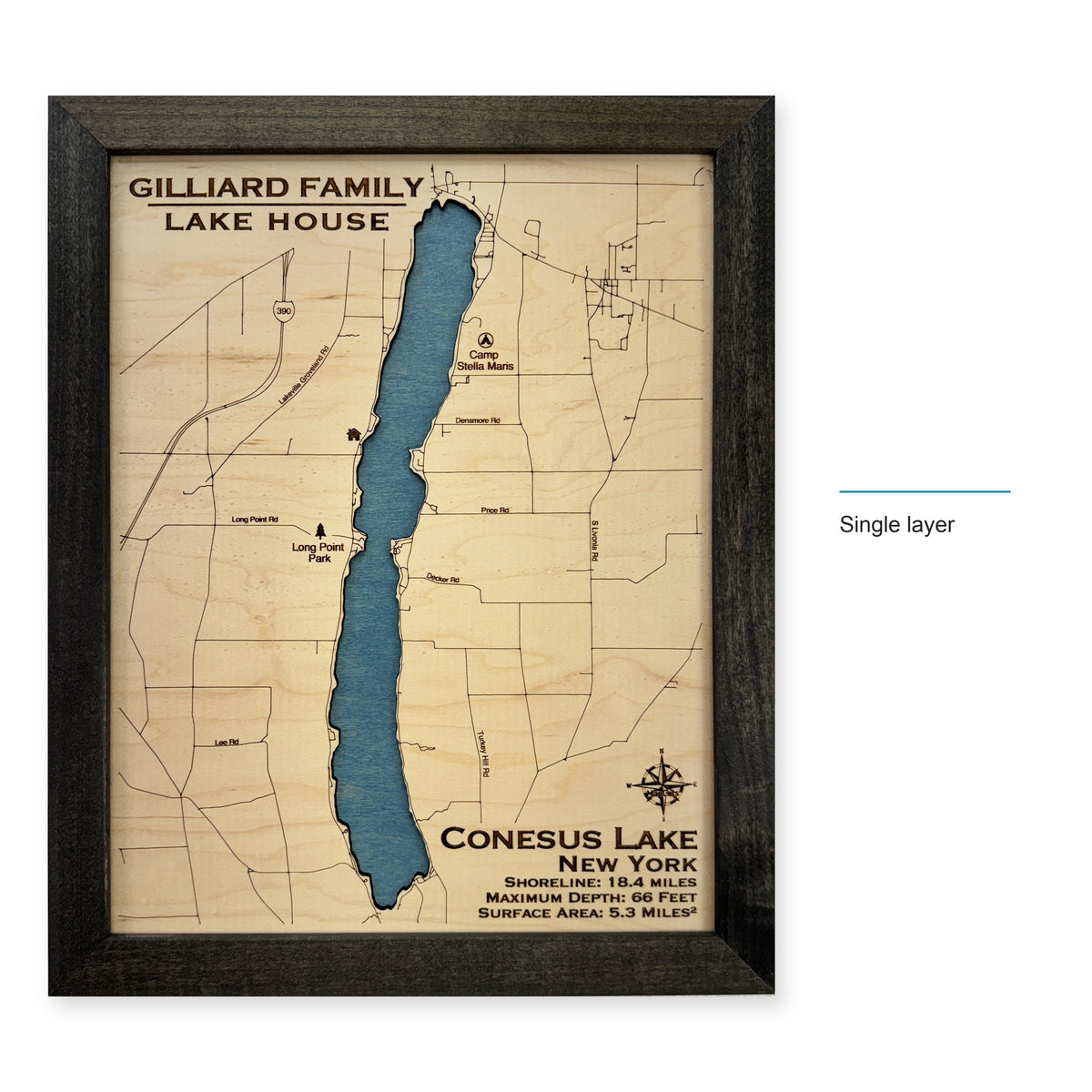 Conesus Gilliard wood map — single layer, layer option shown