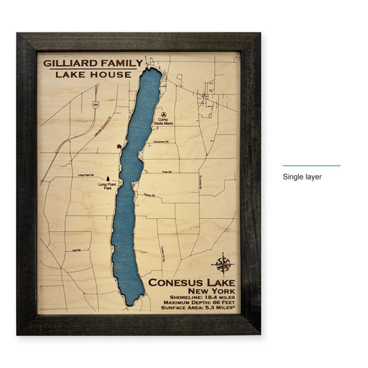 Conesus Gilliard wood map — single layer, layer option shown