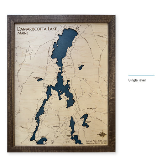 Damariscotta Lake wood map — single layer, layer option shown