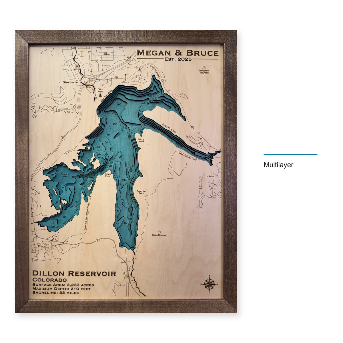Dillon Megan Bruce wood map — multilayer, layer option shown