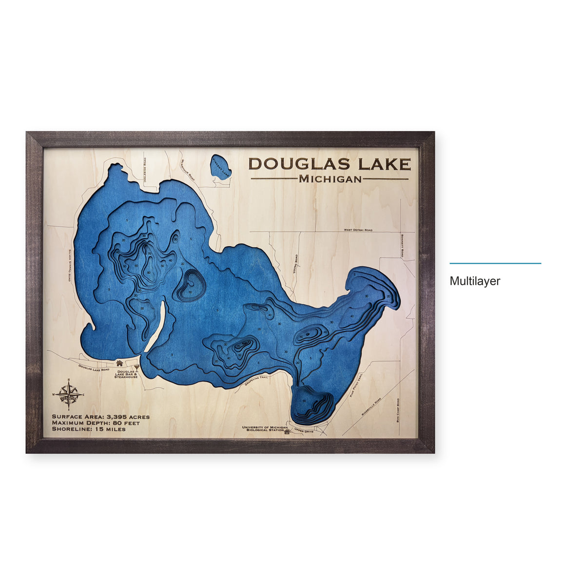 Douglas Michigan Walnut wood map — multilayer, layer option shown