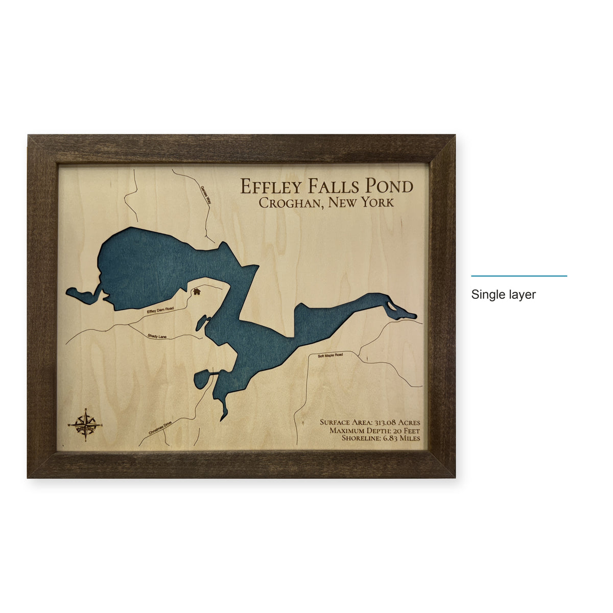 Effley Falls Pond wood map — single layer, layer option shown