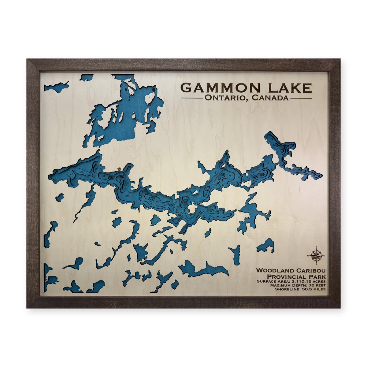 Gammon wood map — multilayer, white background