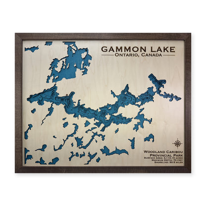 Gammon wood map — multilayer, white background