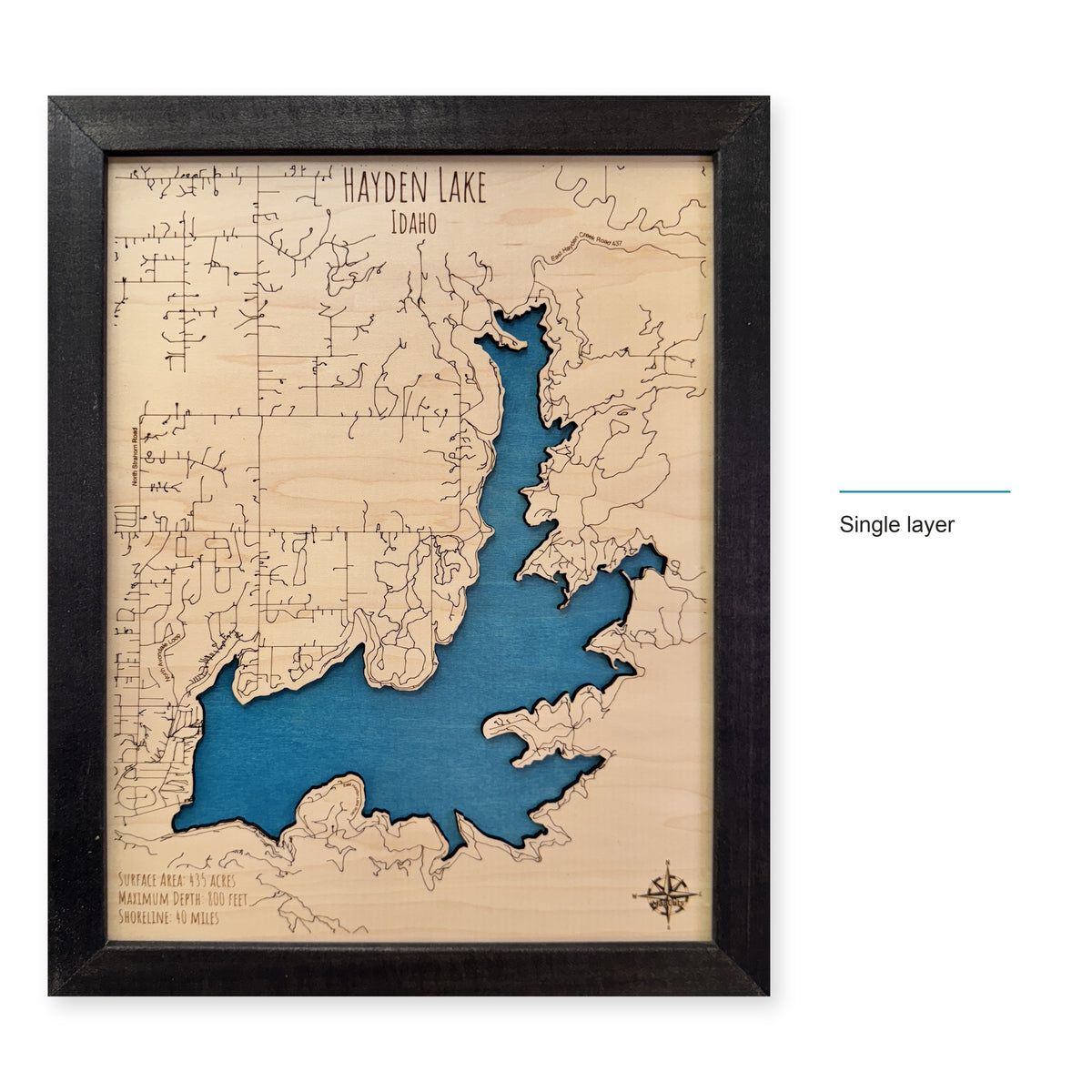 Hayden Black Single wood map — single layer, layer option shown