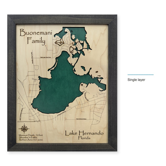 Hernando Buonemani wood map — single layer, layer option shown