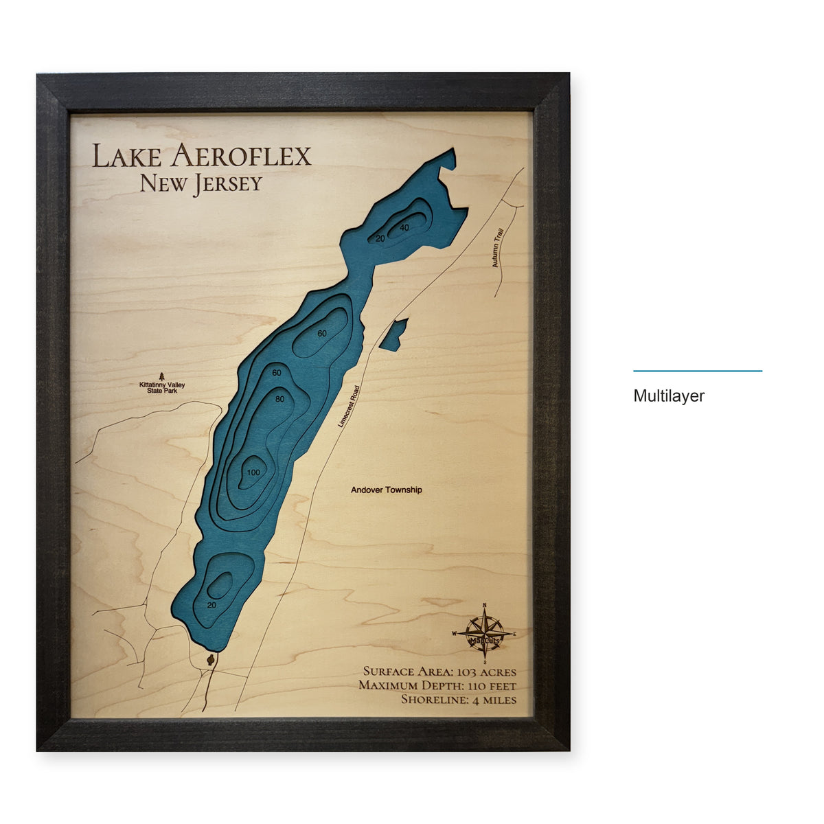 Lake Aeroflex wood map — multilayer, layer option shown