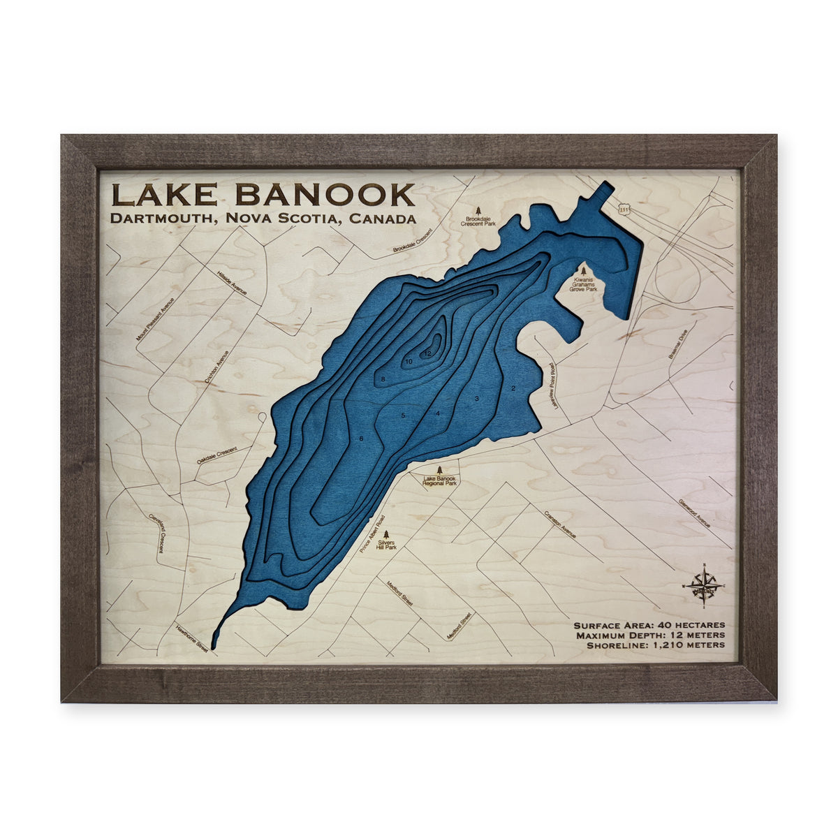 Lake Banook wood map — multilayer, white background