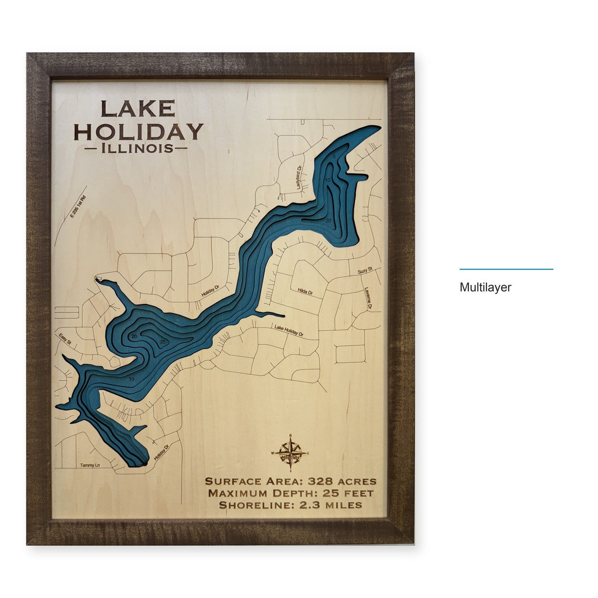 Lake Holiday wood map — multilayer, layer option shown