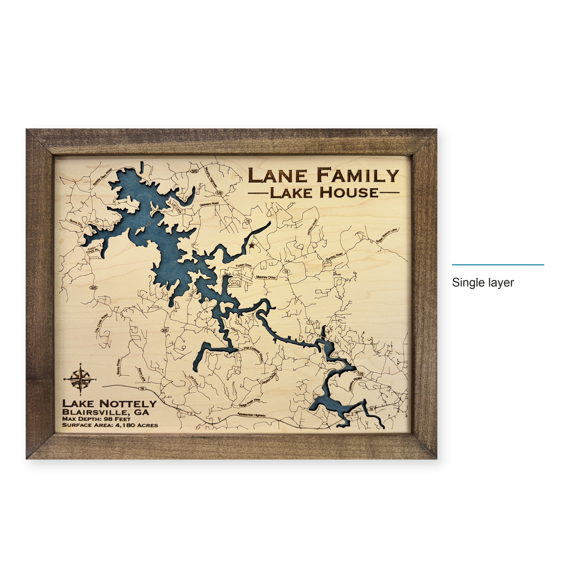 Lake Nottely wood map — single layer, layer option shown