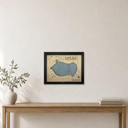 Lake Ola wood map — single layer, staged room mockup