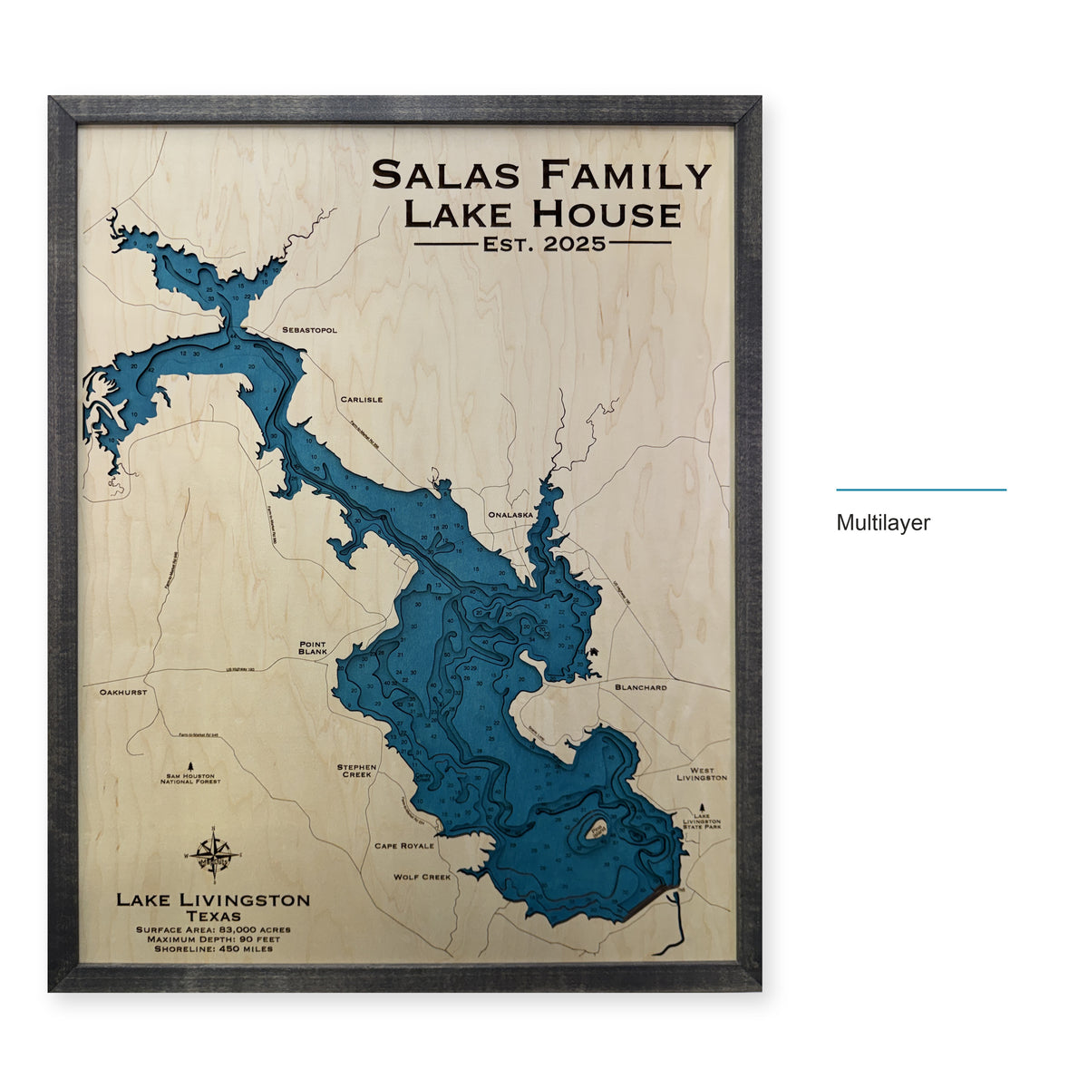 Livingston Salas wood map — multilayer, layer option shown