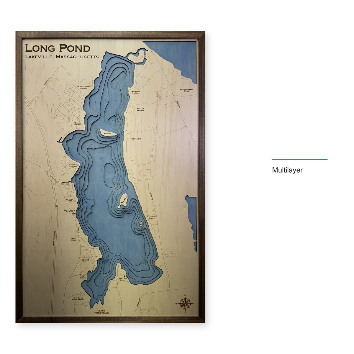 Long Pond Dicesare wood map — multilayer, layer option shown
