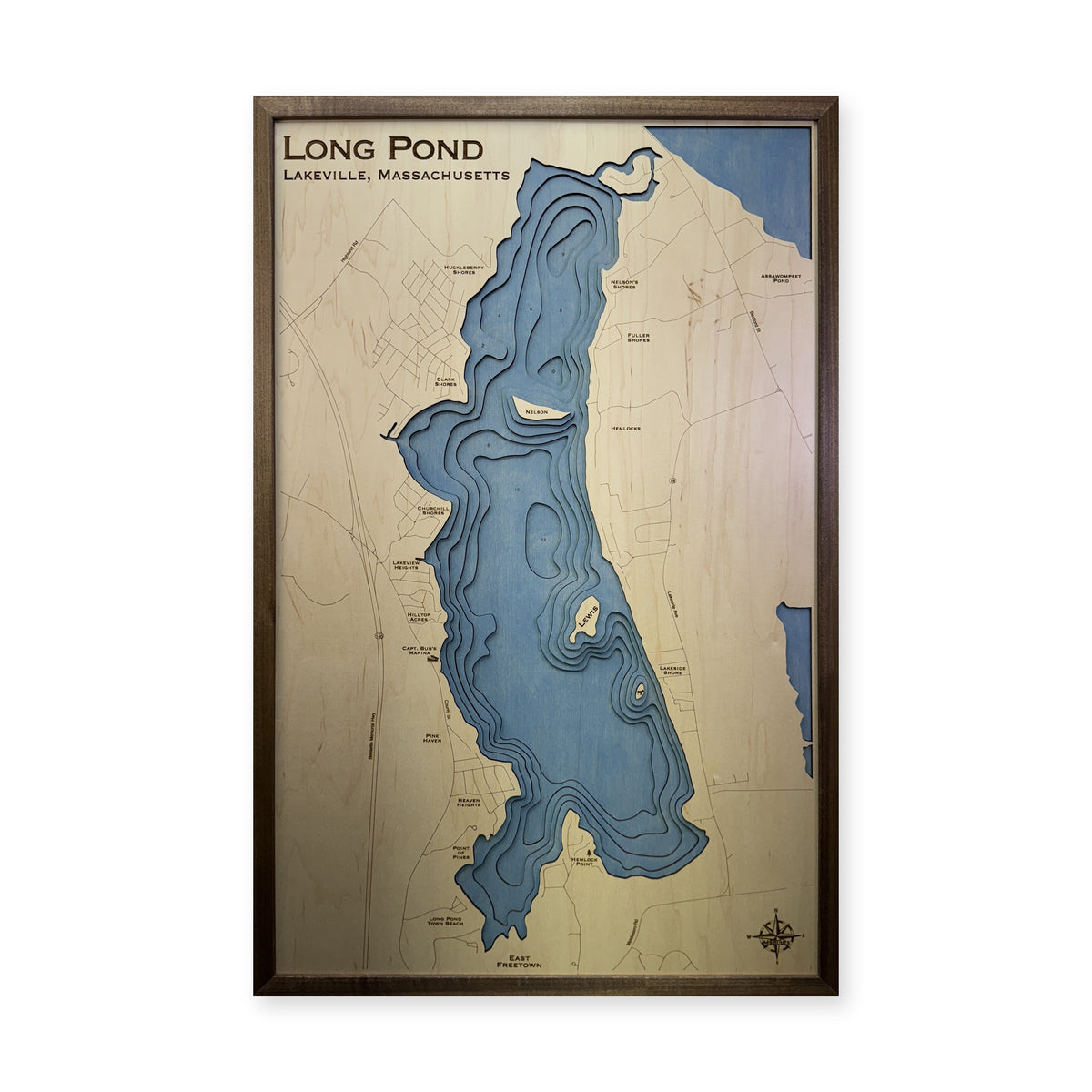 Long Pond Dicesare wood map — multilayer, white background