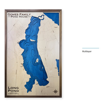 Long Pond Lakeville wood map — multilayer, layer option shown