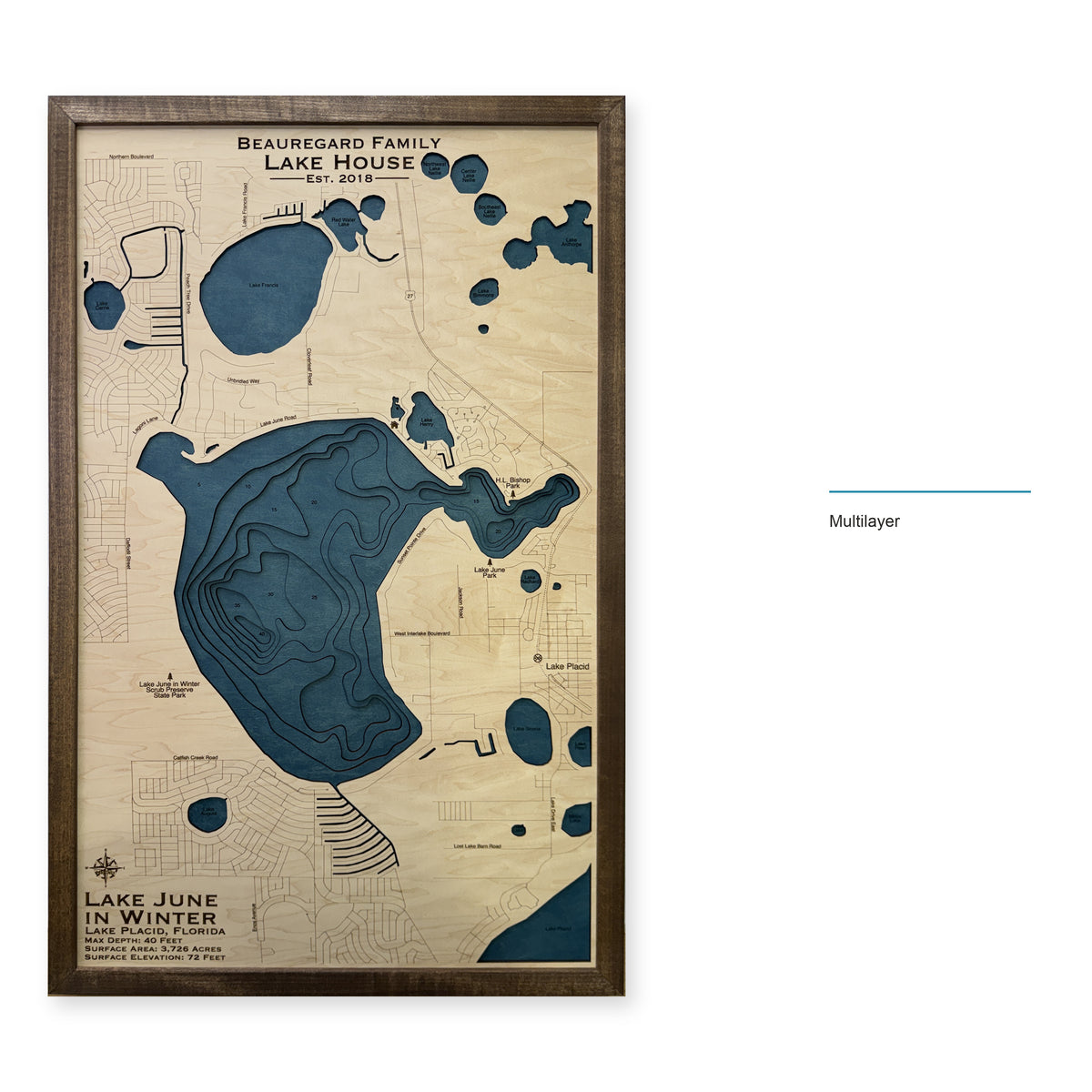 Lake June in Winter, Florida Wood Map — Multilayer — style-labeled photo
