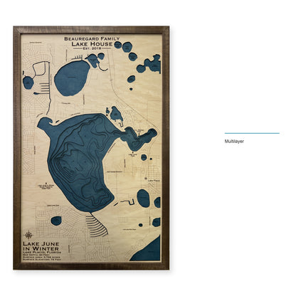 Lake June in Winter, Florida Wood Map — Multilayer — style-labeled photo