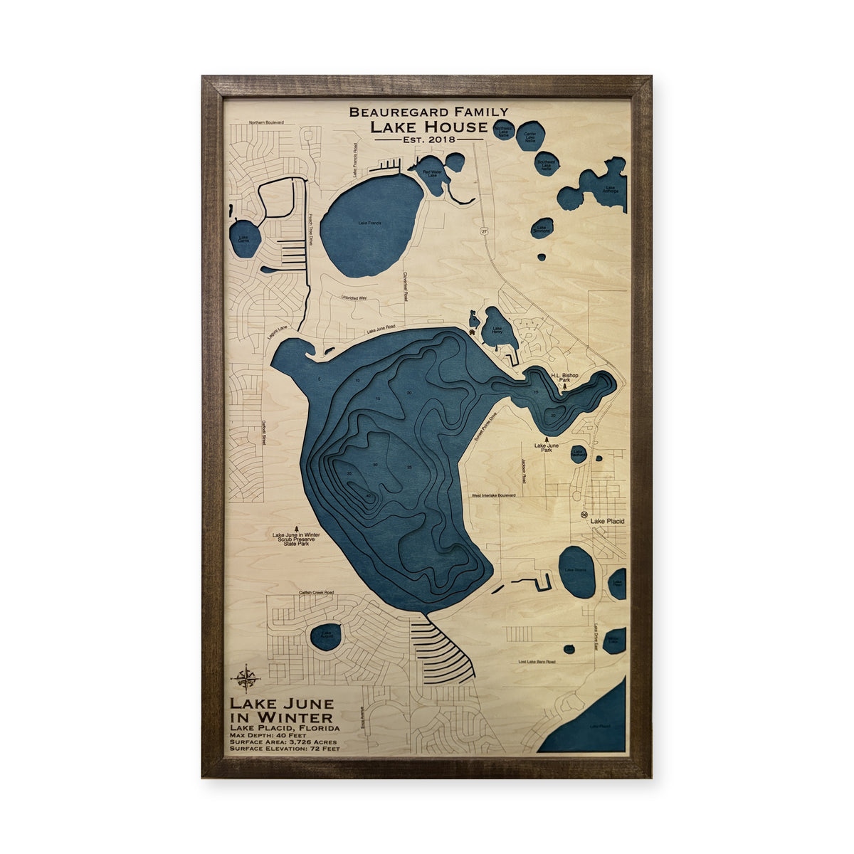 Lake June in Winter, Florida Wood Map — Multilayer — plain-background photo