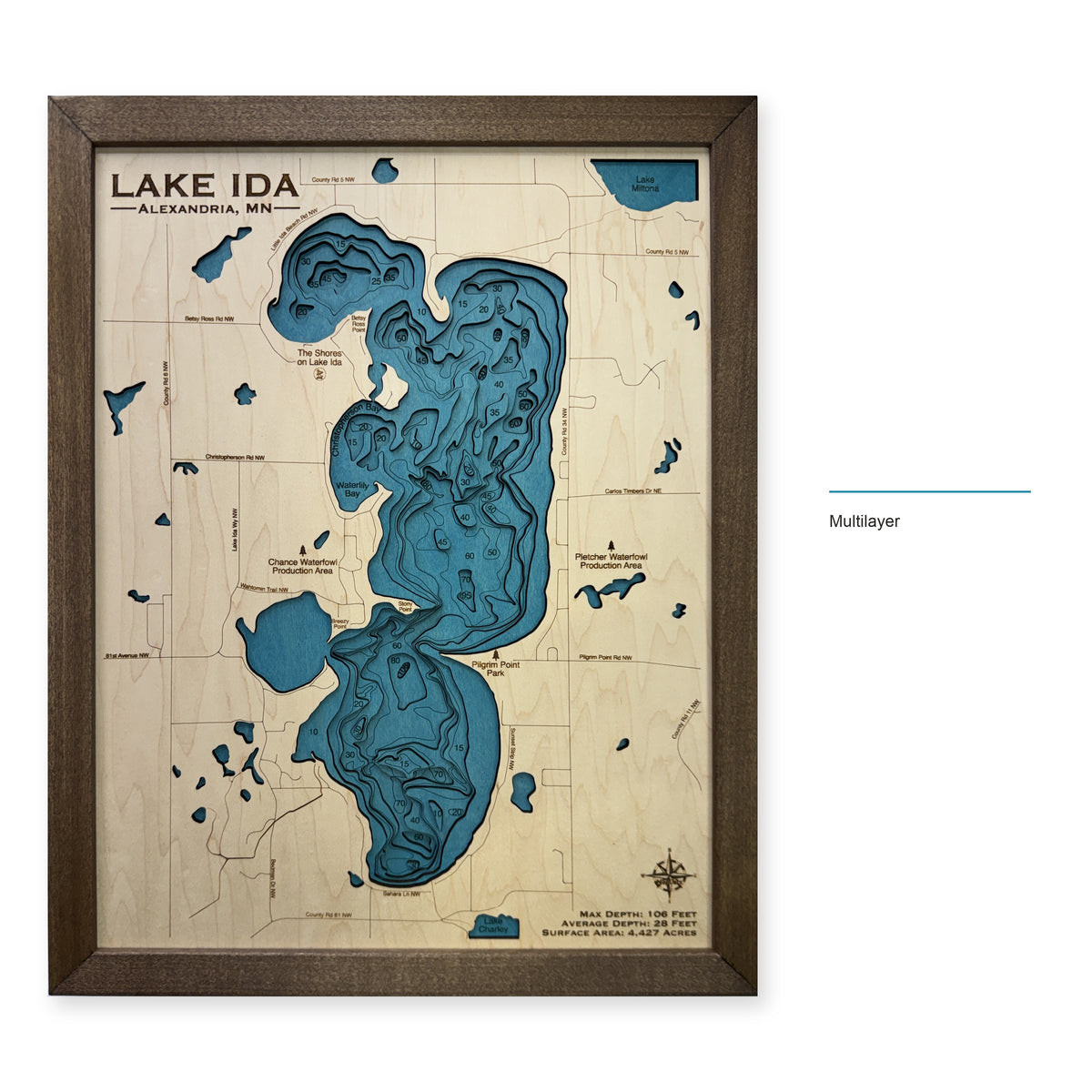 Lake Ida, Minnesota Wood Map — Multilayer — style-labeled photo