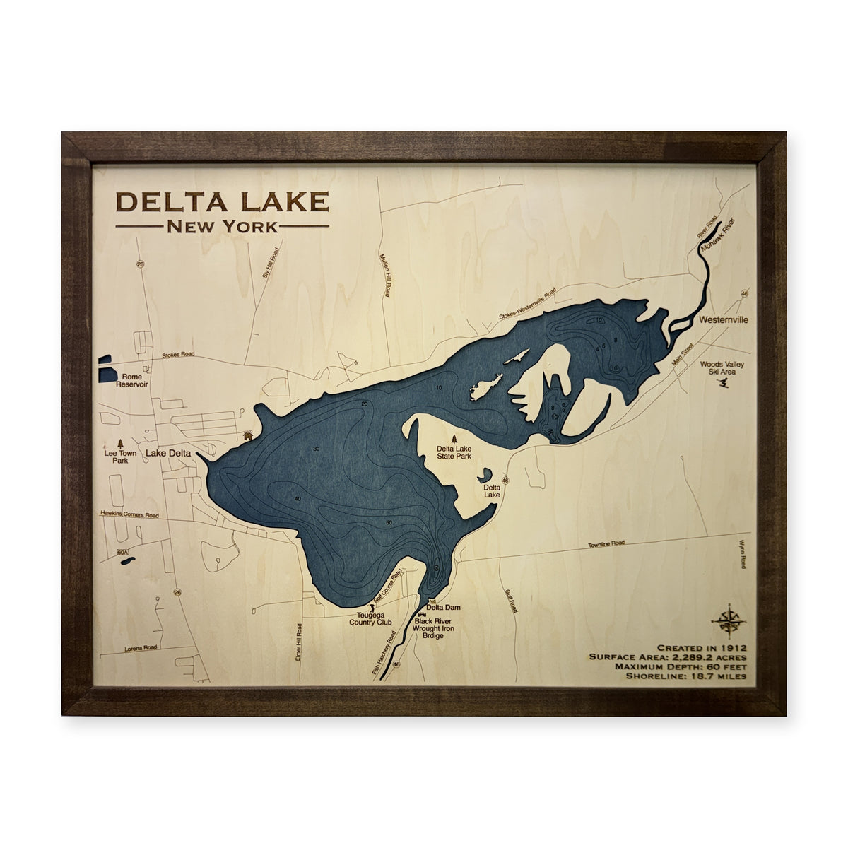 Delta Lake, New York Wood Map — Single layer with engraved contours — plain-background photo