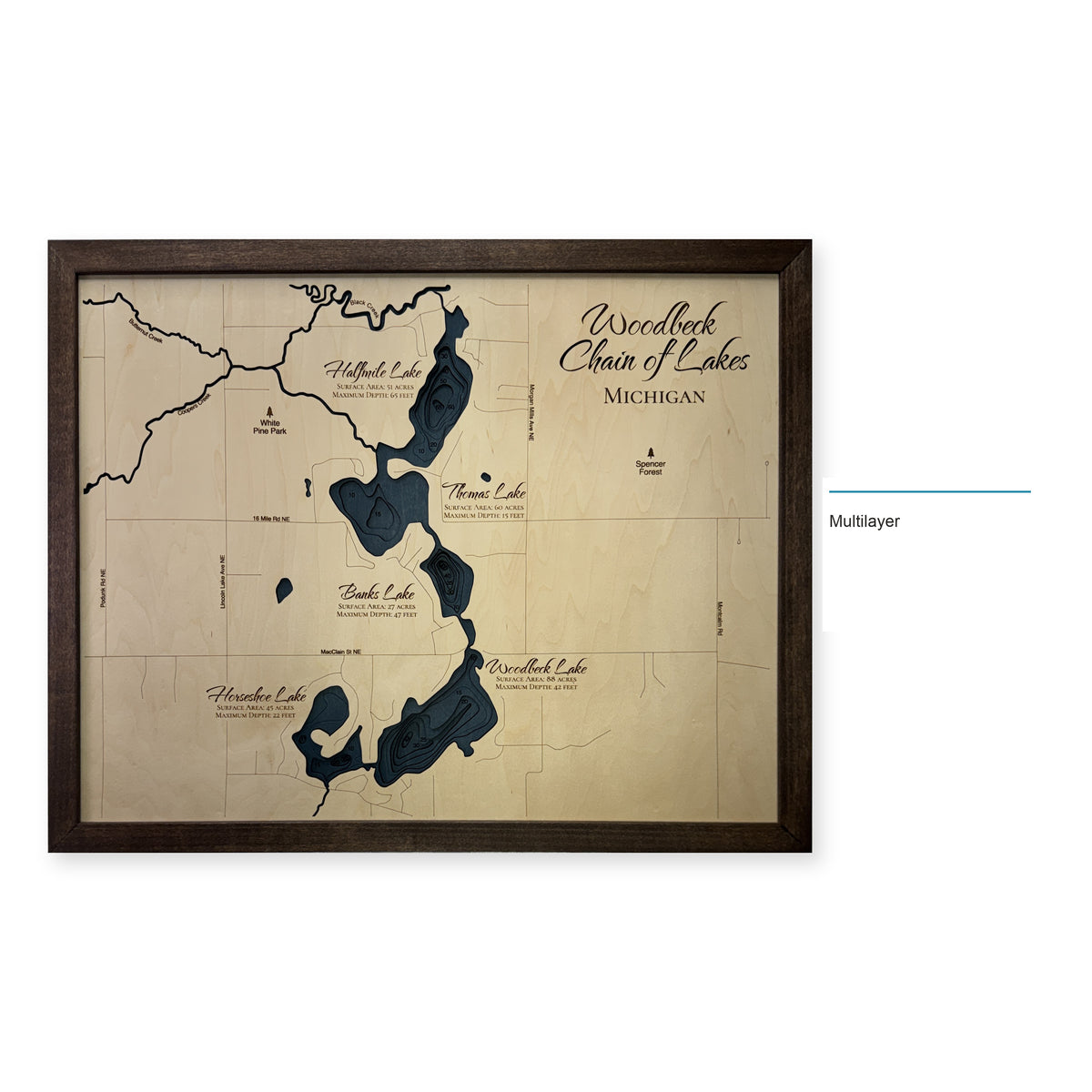 Woodbeck Chain of Lakes, Michigan Wood Map — Multilayer — style-labeled photo