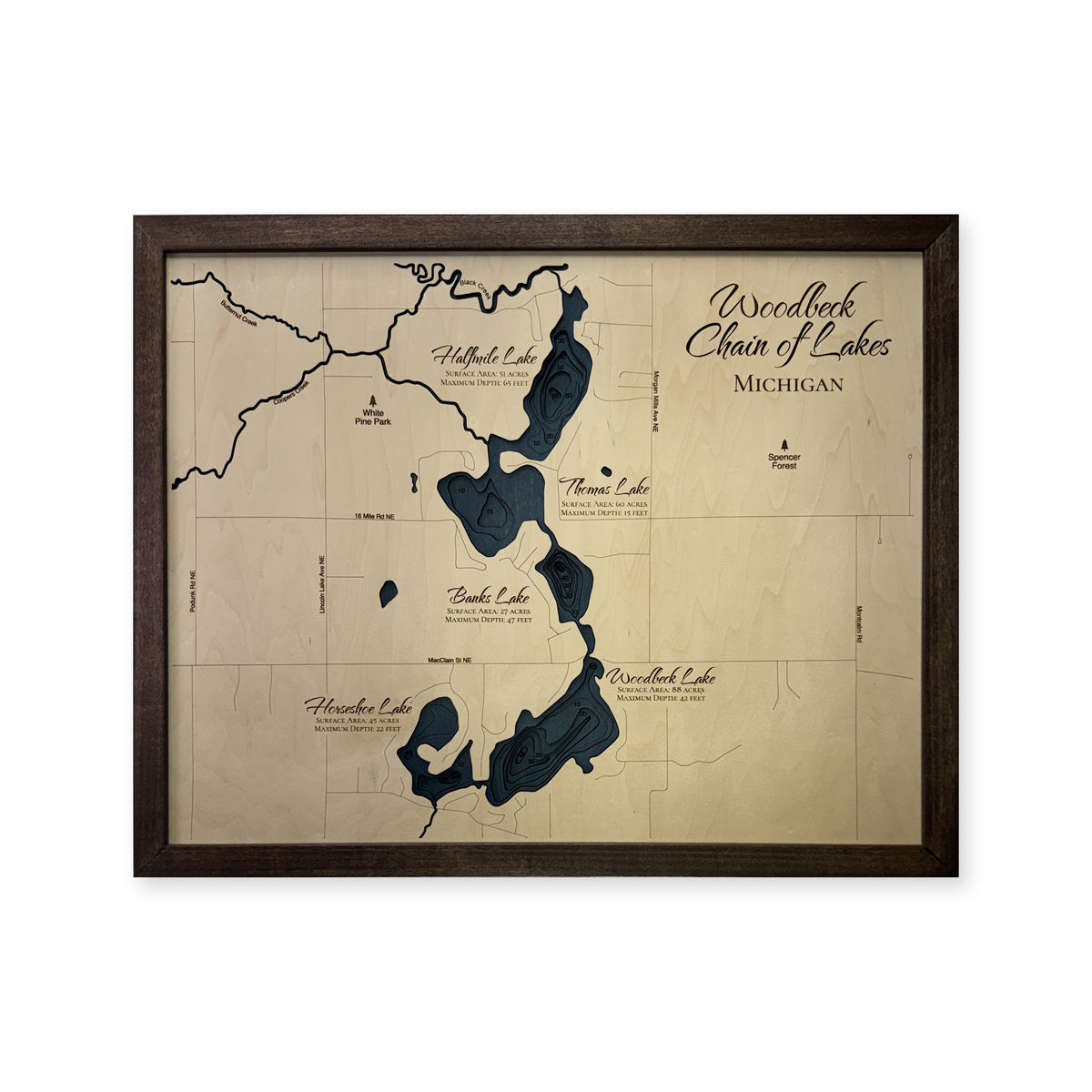 Woodbeck Chain of Lakes, Michigan Wood Map — Multilayer — plain-background photo