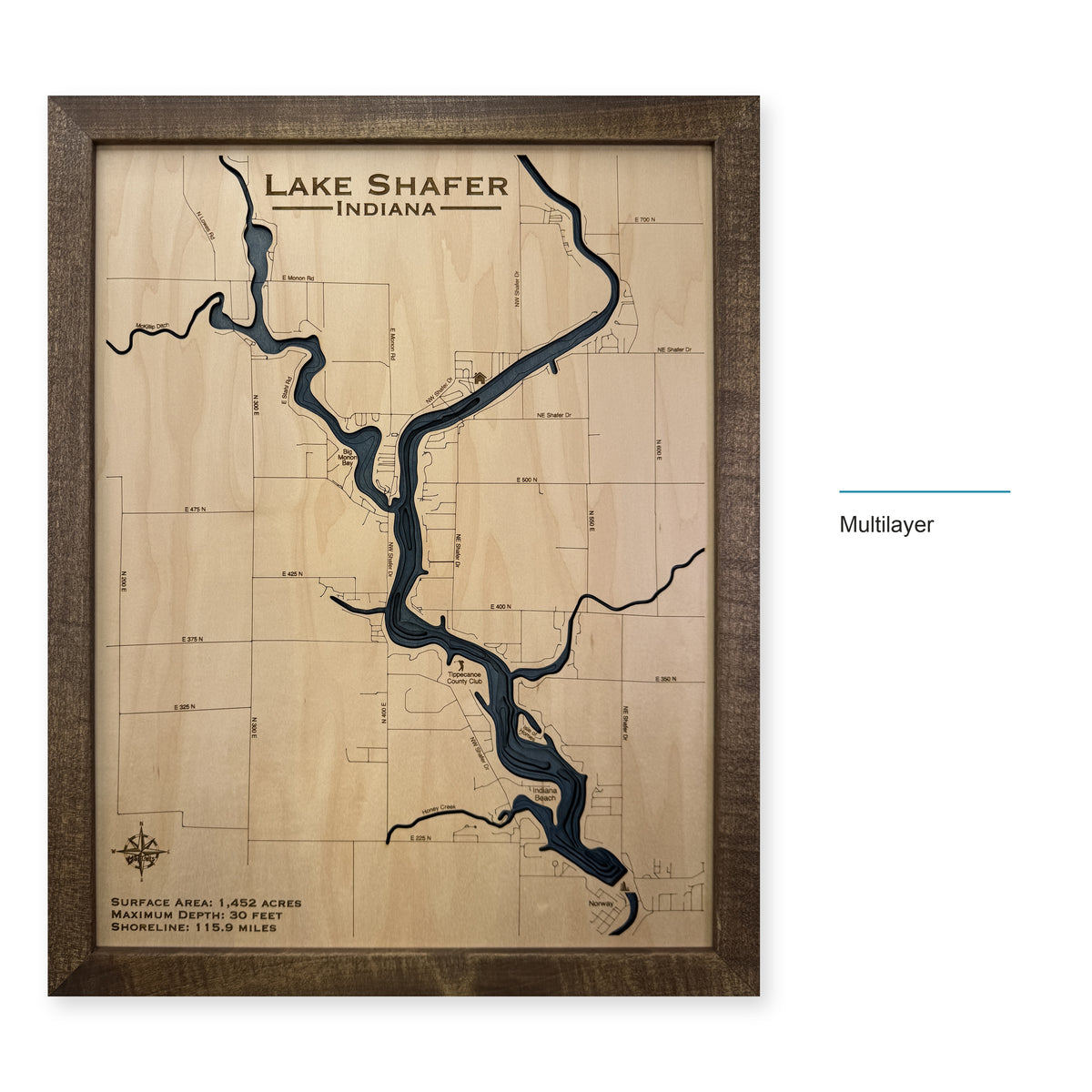 Lake Shafer Wood Map — Multilayer — style-labeled photo