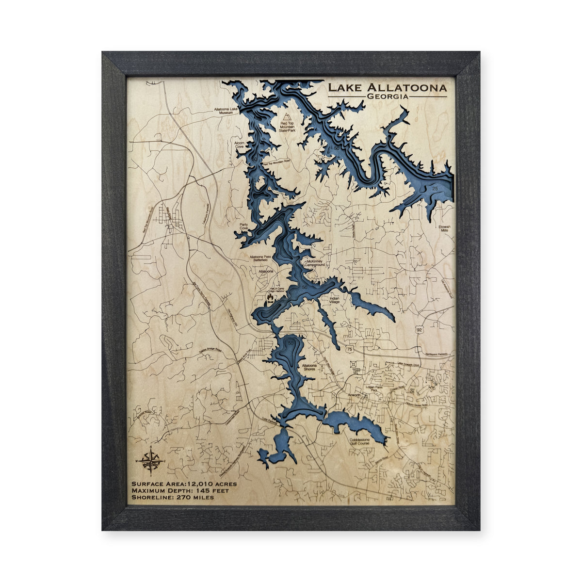 Lake Allatoona, Georgia Wood Map — Multilayer — plain-background photo